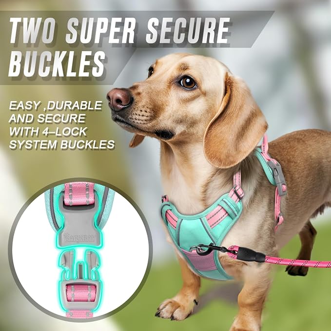 BARKBAY No Pull Dog Harness Front Clip Heavy Duty Reflective Easy Control Handle for Large Dog Walking(Cool Mint & Baby Pink,S)