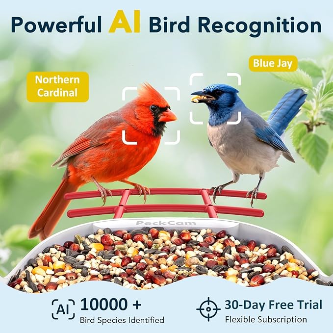 Smart Bird Feeder with Camera 2K Live Real-Time Alert AI Identify with 32G Card DIY Attachments Camera Bird Feeder Solar Powered Wireless Outdoor Birdwatching Gift for Birds Lover, Red