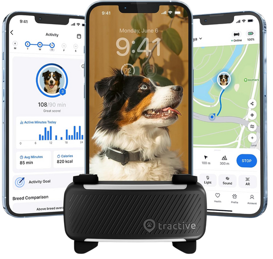 Tractive Smart Dog GPS Tracker | Live Pet Tracker with Virtual Fence | Vital Signs Monitoring of Heart & Respiratory Rate | Bark Monitoring | Dog Collar Attachment (Black)