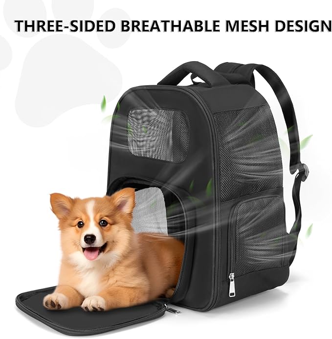 Pet Backpack Carrier for Small Dogs Cats, Airline Approved Travel Bag with Breathable Mesh, Lightweight Foldable Dog Carrier Backpack for Puppies & Kittens up to 15 lbs