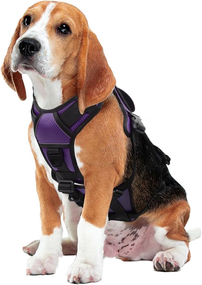 AUROTH Escape Proof Dog Harness - No Pull with Lift Handle, Soft Padded Reflective Adjustable Vest, Large for Walking Hiking Training