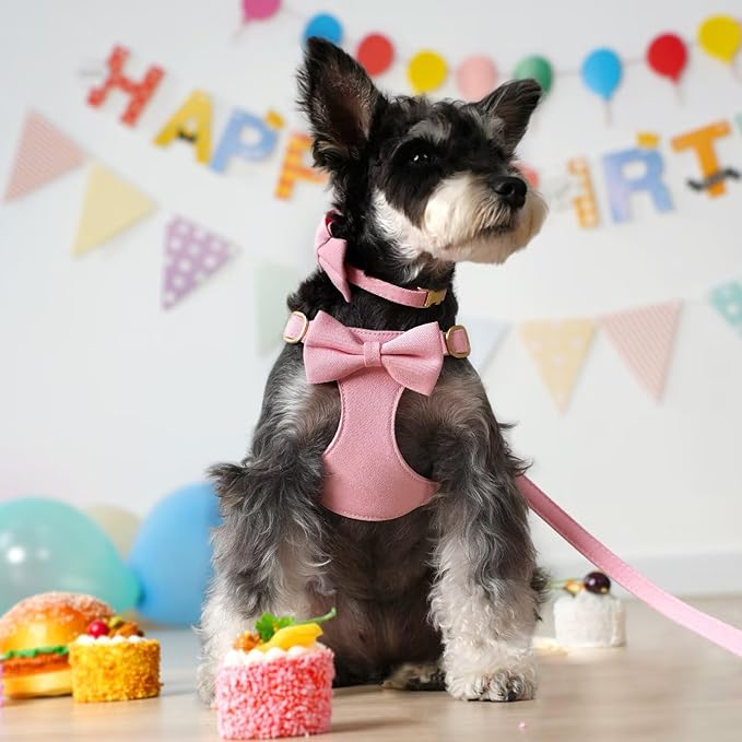 Beirui Cute Small Dog Harness Set with Three Detachable Bows, Adjustable Step in Dog Harness Collar and Leash Set with Secure Metal Buckle for Daily Walking, Parties & Holiday Outfits(Pink,S)