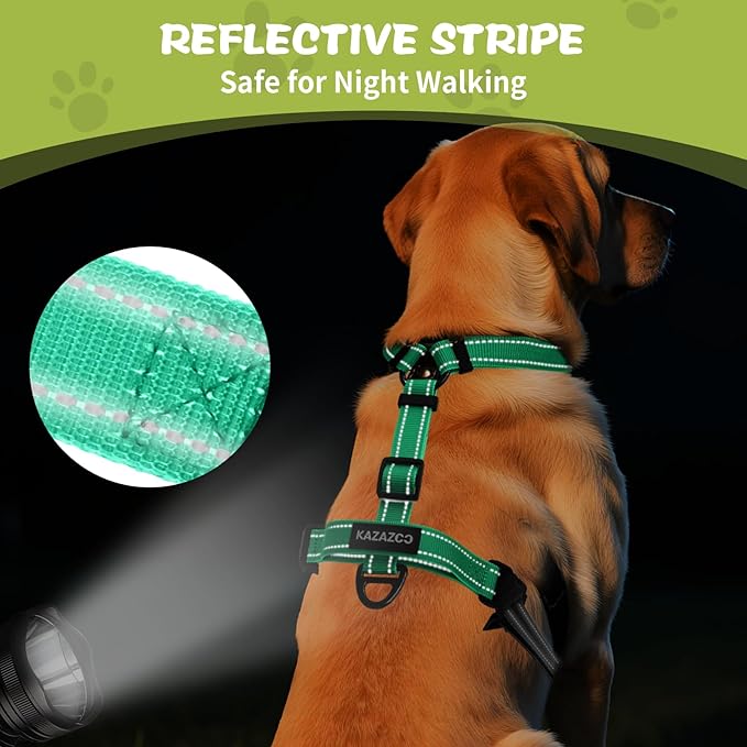 No-Pull Harness,Y-Shaped Design,Buckle-Neck Balance Harness with Reflective Stitching, Ideal for Dog Training and Night Walking, Padded Handle, Durable High-Tensile Nylon-Aqua Green-L
