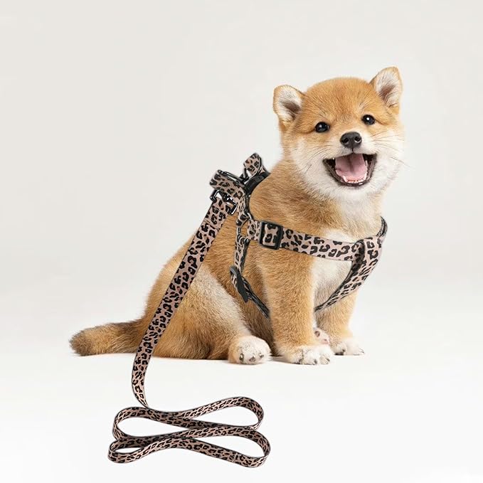 QQPETS Dog Harness Leash Set Adjustable Heavy Duty No Pull Halter Harnesses for Small Medium Large Breed Dogs Back Clip Anti-Twist Perfect for Walking