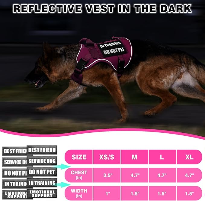 WINSEE Service Dog in Training Mesh Harness with 10 Pet Patches, Soft Air Mesh Breathable Tactical Dog Molle Vest, Reflective Military Pet Vest for Walking Hiking for Small Dogs