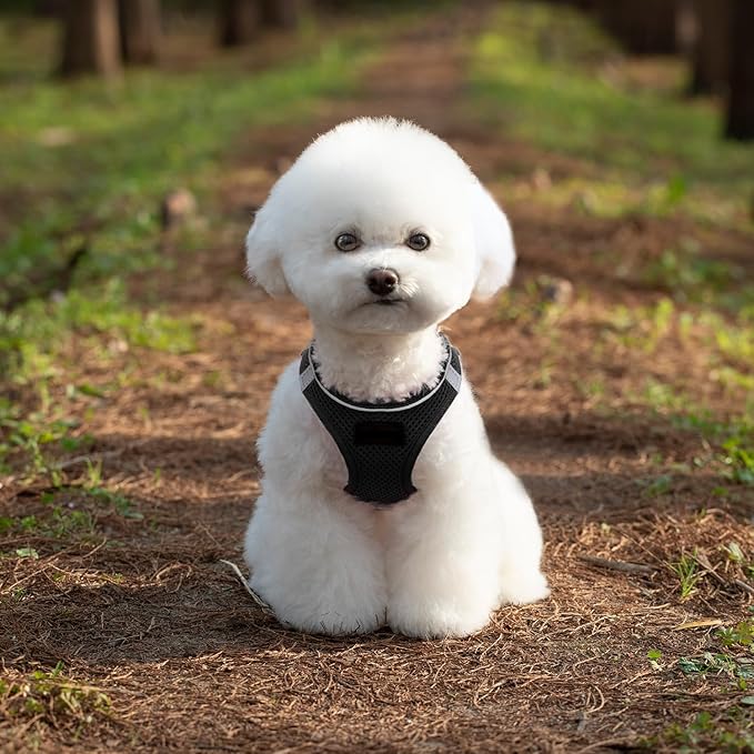 Dog Harness and Leash Set, No Pull Mesh Puppy Harness for Small Medium Sized Dogs, Pet Vest for Walking Running Training, Double D-Rings Reflective Strip