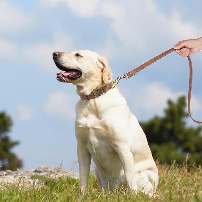 Didog Soft PU Leather Dog Collar, Stylish Quick Released Dog Collar for Large Dogs, Easy Clean Adjustable Pet Collar for Daily Walking, Brown, XL Fit 17-27" Neck