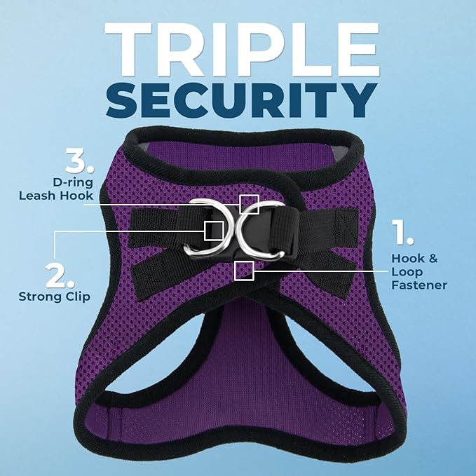 Voyager Step-in Air All Weather Mesh Harness and Reflective Dog 5 ft Leash Combo with Neoprene Handle, for Small, Medium and Large Breed Puppies by Best Pet Supplies - Purple/Black Trim, XX-Small