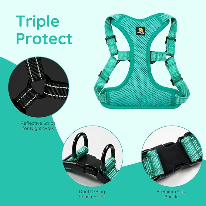 BELLA & PAL Adjustable Step-in Dog Harness, Puppy No-Pull Vest with Leash Set for XS/Small & Medium Dog, Breathable All-Weather Mesh, Reflective Strip, Secure Hook & Loop, Buckle Closure