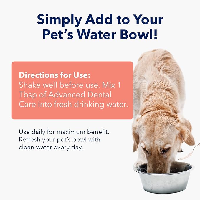 Vets Preferred Dog Breath Freshener & Water Additive for Dental Care – Fights Bad Breath, Removes Tartar & Plaque – Dog Mouthwash for Healthy Teeth & Gums, Gingivitis Support – Mint Flavor