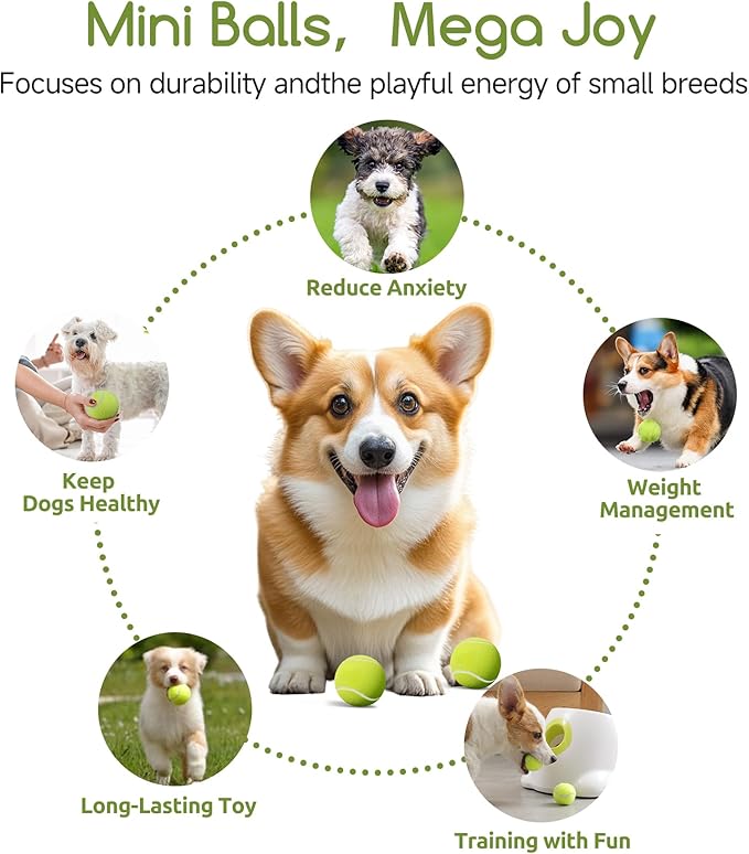 susu & wuwu 12 Pack Mini Tennis Balls for Small Dogs, 2 Inch Small Tennis Balls for Dog Interactive Playing Fetching Training, Puppy Toys to Keep Them Busy