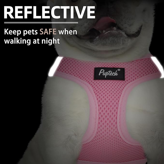 PUPTECK Dog Harness and Leash Set for Small Medium Dogs No Pull Step-in Soft Mesh Puppy Cat Vest Harnesses Reflective at Night, Pink & Blue, S