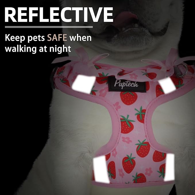 PUPTECK Dog Harness and Leash Set Medium Sized, Step in No Pull Adjustable Puppy Cat Harness Reflective Pet Vest