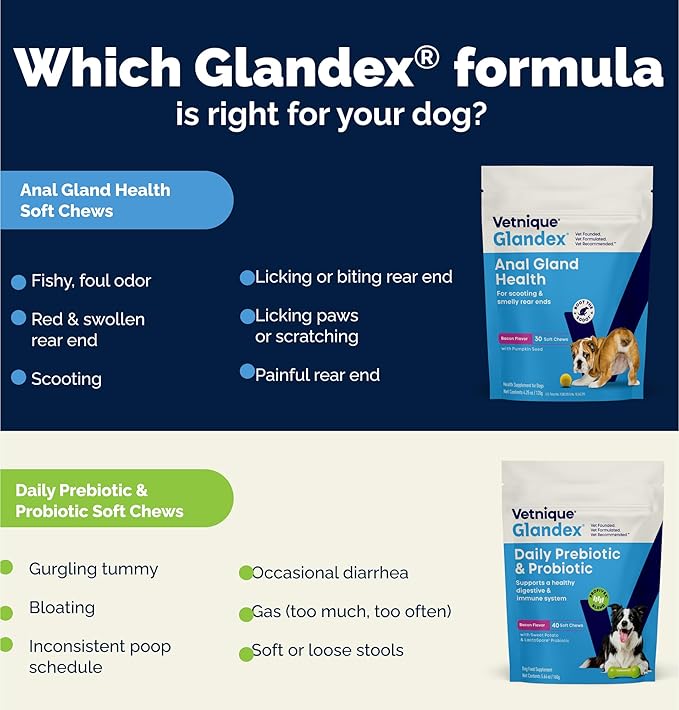 Vetnique Glandex Daily Probiotics for Dogs with Prebiotics to Support Gut Health with Fiber and Digestive Enzymes, Probiotic Chews or Powders (120ct Chews, Bacon Chews)