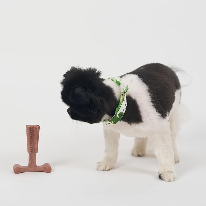 SPOT Bam-Bones Plus T Bone – Bamboo Fiber & Nylon Dog Chew Toy for Moderate to Aggressive Chewers, Durable & Non-Splintering, Long Lasting Beef Flavor Toy for Dogs & Puppies Under 30 lbs, 4 in