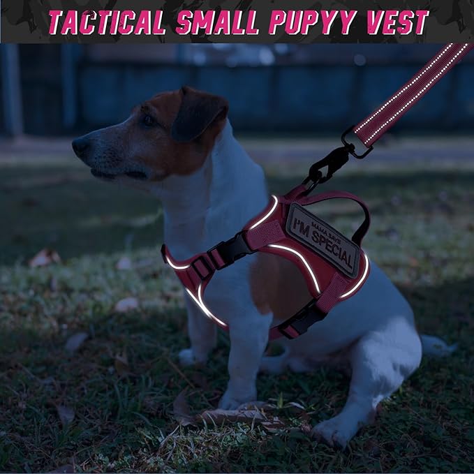 Tactical Dog Harness for Small Dogs, Military Puppy Vest Harness and Leash for Outdoor Training, Adjustable Service Dog Vest with Handle，3 Patches