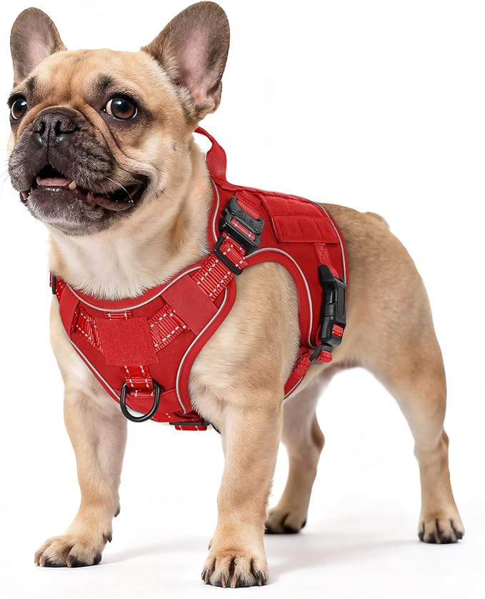 rabbitgoo Tactical Dog Harness Small Sized, No Pull Upgraded Reflective Heavy Duty Molle Vest with Handle, Adjustable Military Service Dog Vest for Walking Hiking Training, Red, S