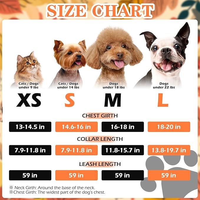 EXPAWLORER Thanksgiving Autumn Puppy Harness - Dog Collar and Leash - Soft Mesh Padded Adjustable Step in Small Dog Vest Harness No Pull, Reflective Escape Proof for Outdoor Walking, Orange M