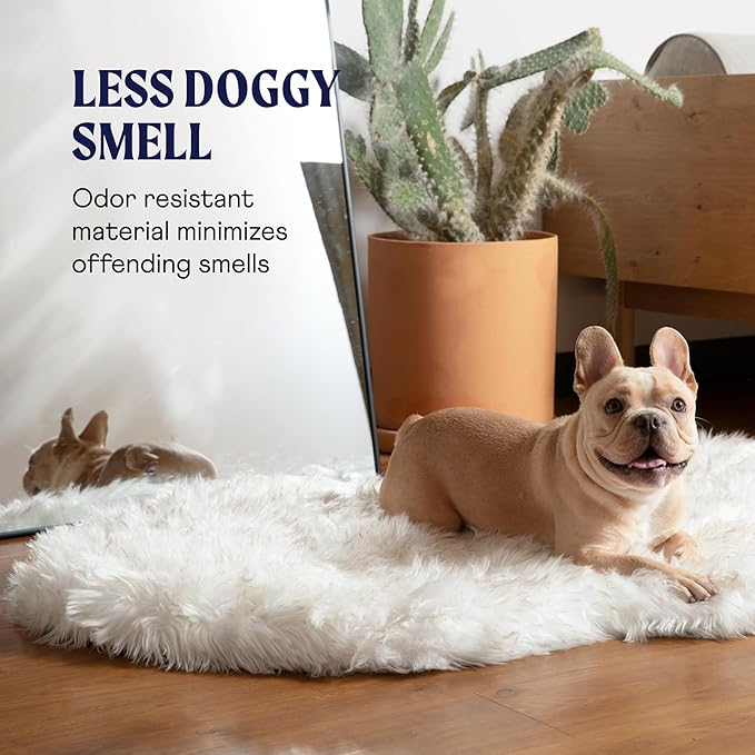 PAW BRANDS PupRug Orthopedic Dog Bed for Large Dogs with Fluffy Soft Faux Fur and Memory Foam for Joint Pain Relief, Machine Washable and Waterproof Couch Bed, White with Brown Accents, Large/XL