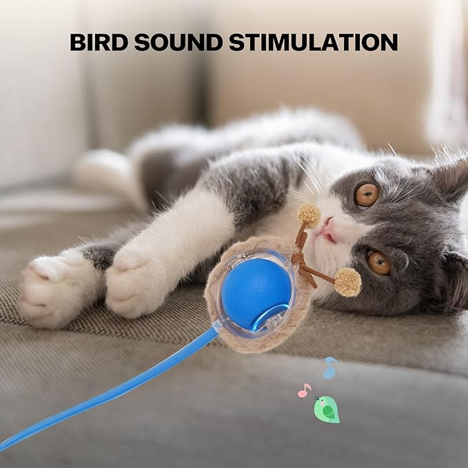 Pet Prime Interactive Cat Toys for Indoor Cats,Motion Activated Automatic Moving Ball with Lights,Electric Self Rotating Ball with Chirping,Rechargeable Smart Cat Toys for Bored