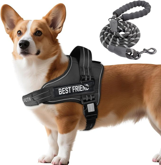 AUROTH Dog Harness and Leash Set, Soft Padded Dog Vest with 5.25FT Dog Leash, No Choke, Easy On Pet Vest, Adjustable Reflective No Pull Dog Harness Small Sized Dog, Easy Walking and Training