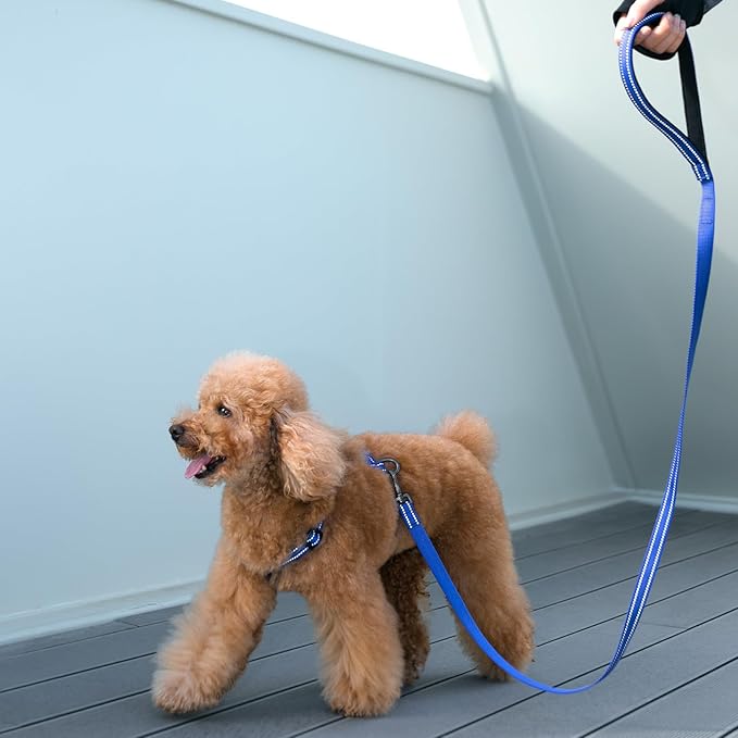 EXCELLENT ELITE SPANKER No Pull Dog Harness Reflective Nylon Vest L-Shaped Adjustable Easy Pet Harness for Small Medium Large Breeds Dogs Walking Training Black Red(Purple-XL)