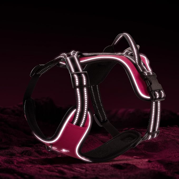 EXCELLENT ELITE SPANKER Nylon Reflective Dog Harness Adjustable No Pull Lightweight EVA Padded Vest Nameplate-Front Clip Service Dog Harness with Buckle for Medium Large Dogs (Peach Red, M)