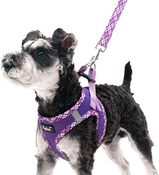 PUPTECK Dog Harness and Leash Set for Small Medium Dogs No Pull Step-in Soft Mesh Puppy Cat Vest Harnesses Reflective at Night, Purple XS