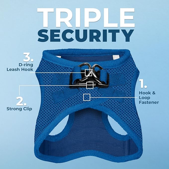 Voyager Step-in Air All Weather Mesh Harness and Reflective Dog 5 ft Leash Combo with Neoprene Handle, for Small, Medium and Large Breed Puppies by Best Pet Supplies - Set (Royal Blue), L