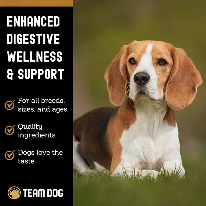 TEAM DOG Probiotic Chews for Dogs | Digestive Enzymes & Dog Probiotics for Yeast, Itchy Skin and Itchy Ears | for Allergies & Sensitive Stomachs | Promotes Digestive & Gut Health for Dogs | 120 Count