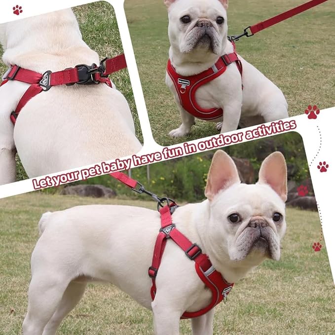 Dog Harness and Leash Set, Adjustable Triangle, Reflective Adjustable Puppy Vest, No Pull Soft Mesh Harness for Small, Medium Dogs, Cats (Red, M)