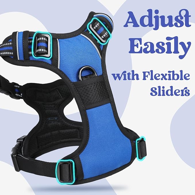 rabbitgoo Dog Harness Small Sized, No Pull Pet Harness with 3 Buckles, Adjustable Soft Padded Vest with Control Handle, Walking Reflective Pet Vest for Small Dogs, Blue, S