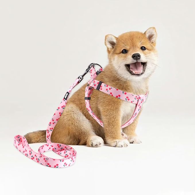 QQPETS Dog Harness Leash Set Adjustable Heavy Duty No Pull Halter Harnesses for Small Medium Large Breed Dogs Back Clip Anti-Twist Perfect for Walking (S(14"-20" Chest Girth), Sakura Pink)