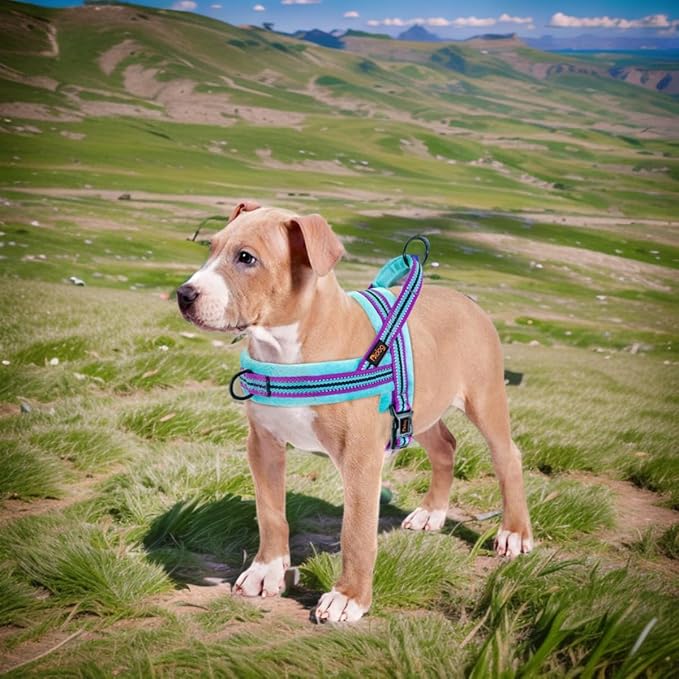 Didog Soft Flannel Padded Dog Vest Harness, No Pull/Quick Fit Reflective Dog Strap Harness, Easy for Training Walking (M:Chest 21-26", Mixed-Blue)