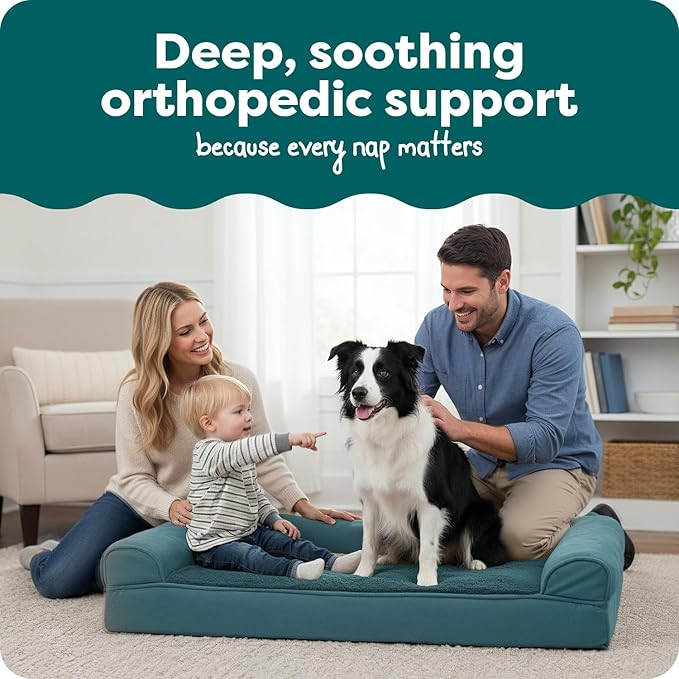 FurHaven Orthopedic Dog Bed for Large Dogs, Sofa Contour Mattress with Egg Crate Orthopedic Memory Foam for Joint Support, Removable Washable Cover, Large, Plush & Suede, Deep Pool