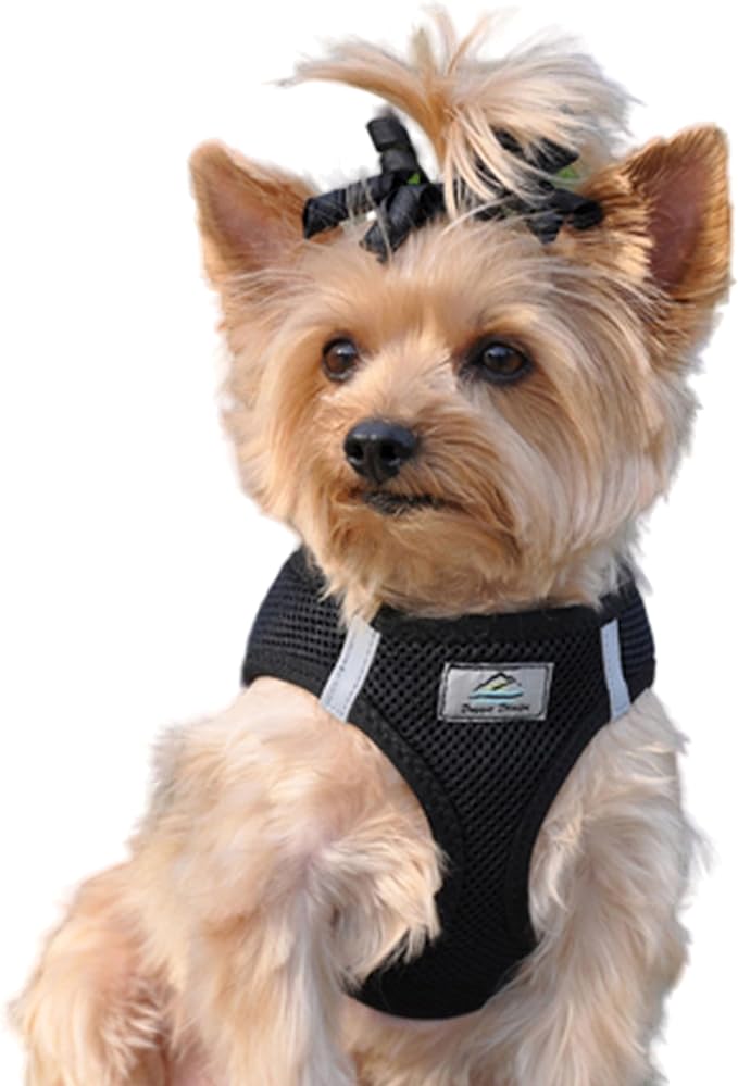 Choke Free Reflective Step in Ultra Harness - Black American River (XS)