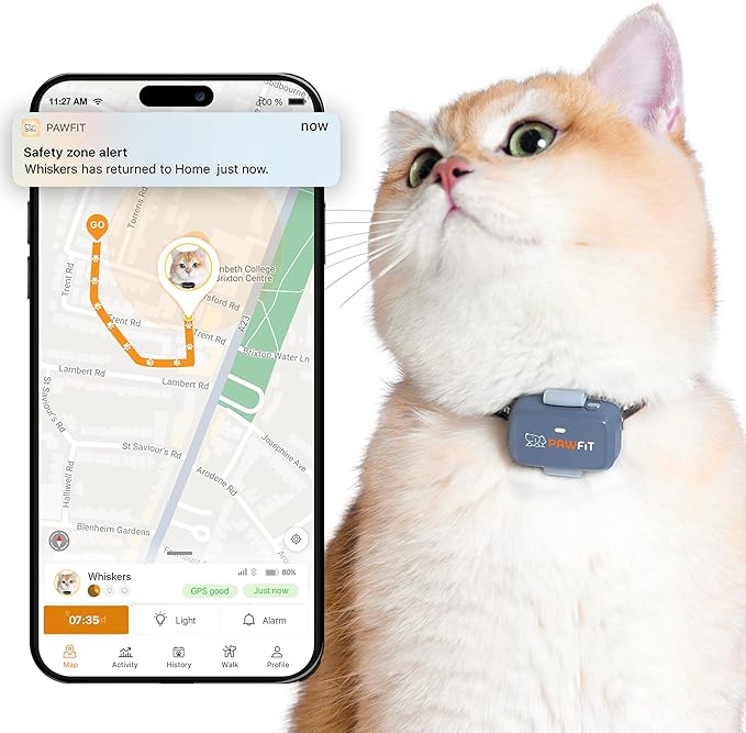 Pawfit Lite for Cats 4g GPS Tracker | Real Time Tracking | Activity Monitoring |Location History | Unlimited Range | Safety Collar Included | Lilac Grey