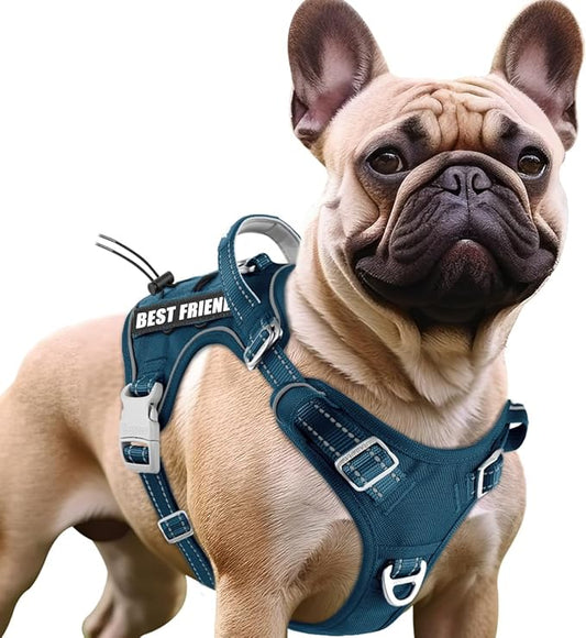 BARKBAY Service Dog Vest Tactical Dog Harness Medium Large Sized Dog Tags Personalized No Pull Adjustable Harness Reflective Working Training Easy Control Military Molle System(Legion Blue,M)