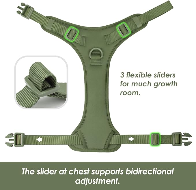 No Pull Dog Harness, Puppy Vest with Front Clip for Small Medium Large Sized Dog (Misty Green,XS)