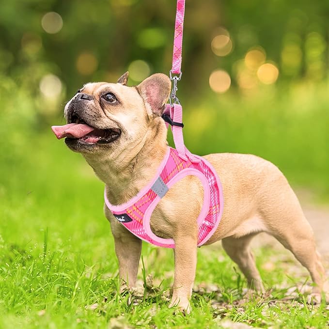 PUPTECK Dog Harness and Leash Set for Small Medium Dogs No Pull Step-in Soft Mesh Puppy Cat Vest Harnesses Reflective at Night, Plaid Pattern Pink XS