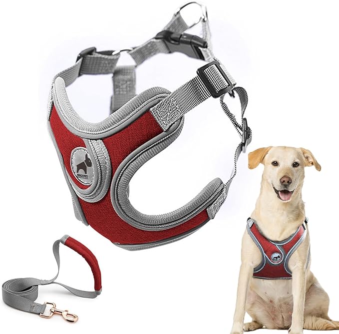Dog Harness with Leash Set, Christmas Red Adjustable Step in Collars Harness with Breathable Padded Vest for Small Medium Large Dogs Training and Running(L, Red)