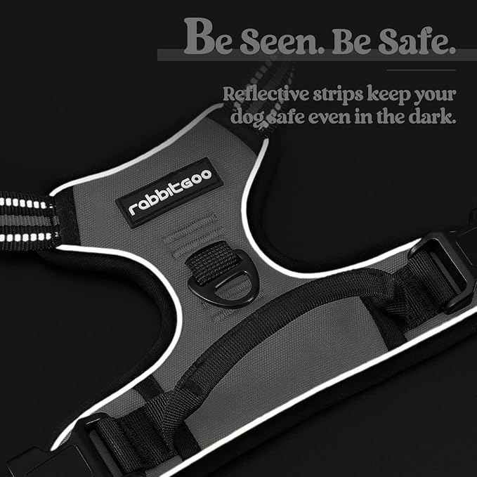 rabbitgoo Dog Harness No Pull with 2 Leash Clips, Adjustable Soft Padded, Reflective Oxford No Choke Pet Vest with Easy Control Handle for Large Dogs, Grey, L