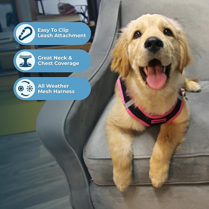 Voyager Step-in Air All Weather Mesh Harness and Reflective Dog 5 ft Leash Combo with Neoprene Handle, for Small, Medium and Large Breed Puppies by Best Pet Supplies - Black/Pink Trim, X-Large