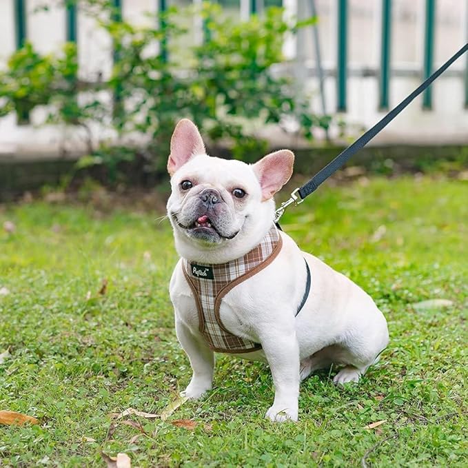 PUPTECK Soft Mesh Dog Harness and Leash Set Pet Puppy Cat Comfort Padded Vest No Pull Harnesses, Brown, L