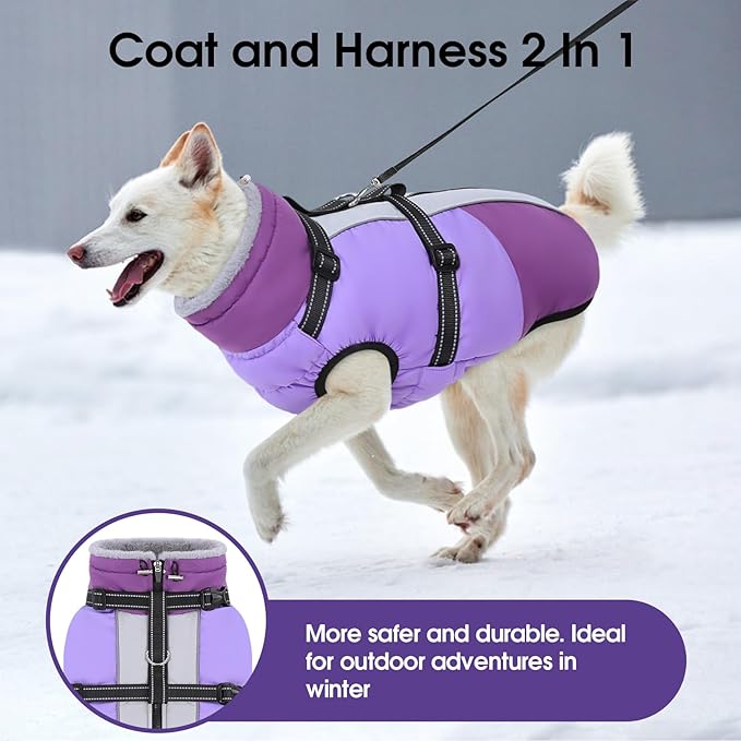 SUNFURA Dog Coat, Warm Dog Jacket with Harness Built in, Waterproof Pet Winter Coat Snowsuit with Zipper, Reflective Fleece Jacket for Extra Large Dogs, Weimaraner, Purple XXL