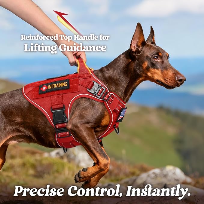rabbitgoo Tactical Dog Harness Small Sized, No Pull Upgraded Reflective Heavy Duty Molle Vest with Handle, Adjustable Military Service Dog Vest for Walking Hiking Training, Red, S