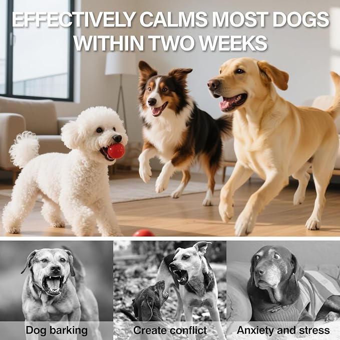 Dog Calming Pheromones Diffuser 6 in 1 Appeasing Relaxing Diffuser with Timing Function Pet Kit (3 Plug in +3 Refill 48ml) for Anxiety Relief Reduce Aggression Barking Fighting Stress (Tasteless)