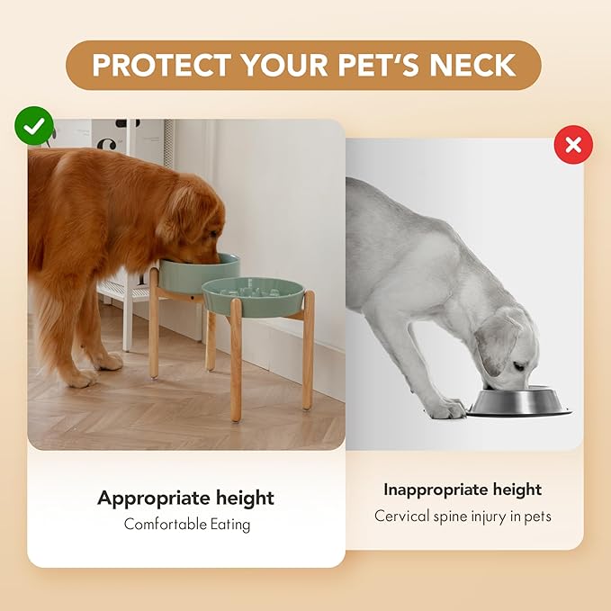 Ceramic 3.2 Cup Raised Slow Feeder Dog Bowl Set, Elevated 8.2inch Bowl and 9.5inch Slow Pet Food Dish with Wooden Stand for Large Dog (2 x Light Green+ Stand)