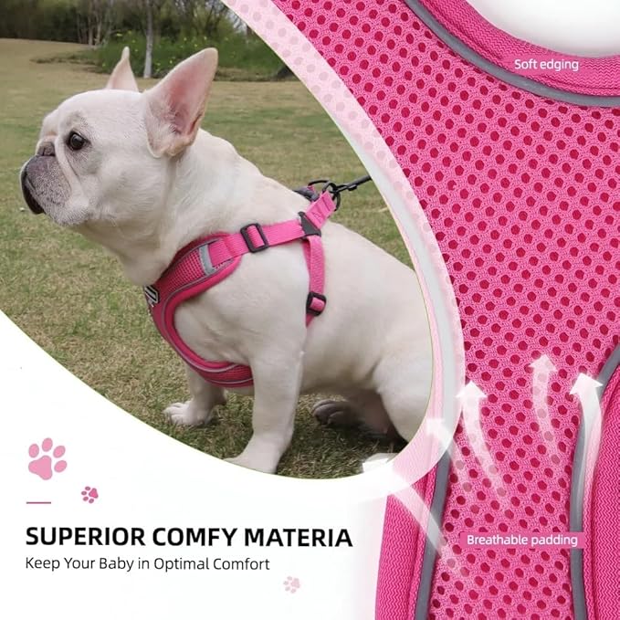 Dog Harness and Leash Set, Adjustable Triangle, Reflective Adjustable Puppy Vest, No Pull Soft Mesh Harness for Small, Medium Dogs, Cats (Fuchsia, M)