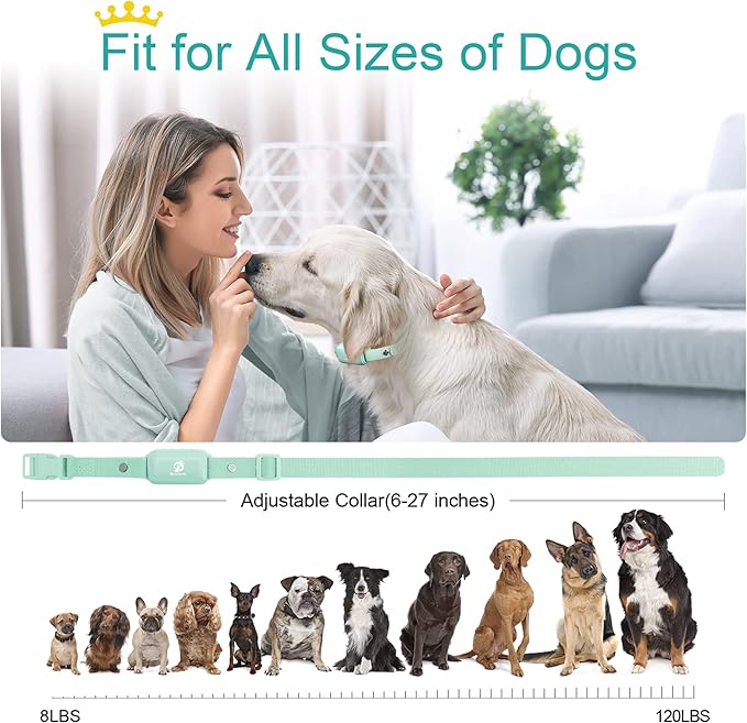 Bousnic Shock Collar for Dogs - Waterproof Rechargeable Dog Electric Training Collar with Remote for Small Medium Large Dogs with Beep, Vibration, Safe Shock Modes (8-120 Lbs) (Green)